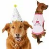 Frisco Confetti Birthday Hat, Medium/Large + Dog & Cat T-Shirt, Pink 1 Frisco Confetti Birthday Hat, Medium/Large + Dog & Cat T-Shirt, Pink -The Frisco Store 302434 MAIN. SY630 V1623046658