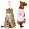 Frisco Confetti Birthday Hat, Small/Medium + Dog & Cat T-Shirt, Pink -The Frisco Store 302446 MAIN. SY630 V1623043063