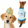 Frisco Happy Birthday Crown, Medium/Large + Dog & Cat T-Shirt, Blue 1 Frisco Happy Birthday Crown, Medium/Large + Dog & Cat T-Shirt, Blue -The Frisco Store 302454 MAIN. SY630 V1623063780