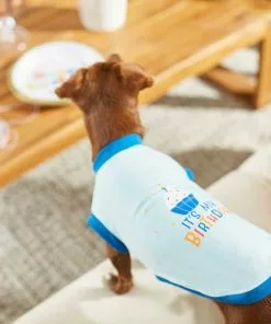 Frisco Happy Birthday Crown, X-Small/Small + Dog & Cat T-Shirt, Blue -The Frisco Store 302470 PT7. SY630 V1623037657