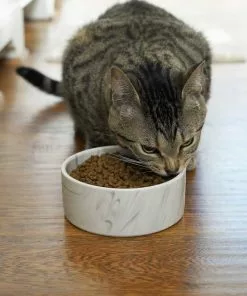 Frisco Marble Design Non-skid Ceramic Dog Bowl + Treat Jar with Wood Lid, 3.75 Cups 15 Frisco Marble Design Non-skid Ceramic Dog Bowl + Treat Jar with Wood Lid, 3.75 Cups -The Frisco Store 302482 PT4. SY630 V1623034666