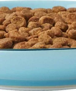 Frisco New York Non-skid Ceramic Dish, 0.50 Cup + Cat Bowl, 1.50 Cups -The Frisco Store 302488 PT2. SY630 V1623059244