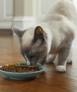 Frisco New York Non-skid Ceramic Dish, 0.50 Cup + Cat Bowl, 1.50 Cups -The Frisco Store 302488 PT4. SY630 V1623069142