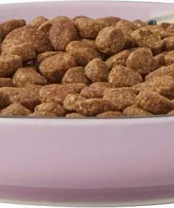 Frisco Paris Non-skid Ceramic Dish, 0.50 Cup + Cat Dish, 1.50 Cup -The Frisco Store 302490 PT2. SY630 V1623058041