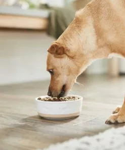 Frisco Silicone Food Mat, Gray, Large + Bones Non-skid Ceramic Dog Bowl -The Frisco Store 302516 PT8. SY630 V1623070060