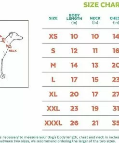 Frisco Basic T-Shirt, Red + Dog & Cat Hoodie, Red -The Frisco Store 302662 PT1. SY630 V1633128423