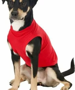 Frisco Basic T-Shirt, Red + Dog & Cat Hoodie, Red -The Frisco Store 302662 PT4. SY630 V1633128173