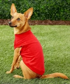 Frisco Basic T-Shirt, Red + Dog & Cat Hoodie, Red -The Frisco Store 302662 PT6. SY630 V1633123628