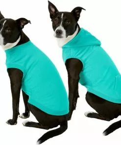 Frisco Basic T-Shirt, Teal + Dog & Cat Hoodie, Teal -The Frisco Store 302676 PT2. SY630 V1633127879