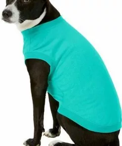 Frisco Basic T-Shirt, Teal + Dog & Cat Hoodie, Teal -The Frisco Store 302676 PT4. SY630 V1633123589