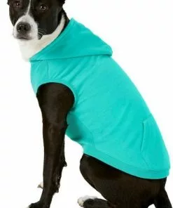 Frisco Basic T-Shirt, Teal + Dog & Cat Hoodie, Teal -The Frisco Store 302676 PT5. SY630 V1633126626