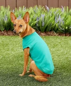 Frisco Basic T-Shirt, Teal + Dog & Cat Hoodie, Teal -The Frisco Store 302676 PT6. SY630 V1633127770