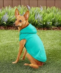 Frisco Basic T-Shirt, Teal + Dog & Cat Hoodie, Teal -The Frisco Store 302676 PT7. SY630 V1633123351