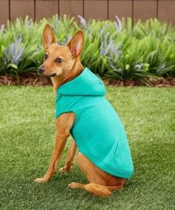 Frisco Basic T-Shirt, Teal + Dog & Cat Hoodie, Teal -The Frisco Store 302676 PT8. SY630 V1623057743