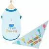 Frisco Birthday Prince Bandana, Medium/Large + Dog & Cat T-Shirt, Blue -The Frisco Store 302690 MAIN. SY630 V1633081285