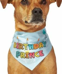 Frisco Birthday Prince Bandana, Medium/Large + Dog & Cat T-Shirt, Blue -The Frisco Store 302690 PT3. SY630 V1633075586