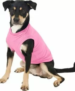 Frisco Dog & Cat Basic Hoodie + T-Shirt, Pink -The Frisco Store 302712 PT4. SY630 V1633064507
