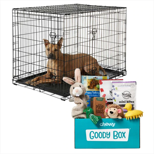 Frisco||Goody Box Frisco Fold & Carry Double Door Collapsible Wire Crate + Goody Box Puppy Toys, Treats & Potty Training 3 Frisco||Goody Box Frisco Fold & Carry Double Door Collapsible Wire Crate + Goody Box Puppy Toys, Treats & Potty Training