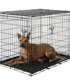 Frisco||Goody Box Frisco Fold & Carry Double Door Collapsible Wire Crate + Goody Box Puppy Toys, Treats & Potty Training 11 Frisco||Goody Box Frisco Fold & Carry Double Door Collapsible Wire Crate + Goody Box Puppy Toys, Treats & Potty Training -The Frisco Store 302728 PT1. SY630 V1658256577