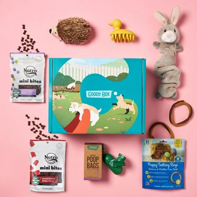 Frisco||Goody Box Frisco Fold & Carry Double Door Collapsible Wire Crate + Goody Box Puppy Toys, Treats & Potty Training 8 Frisco||Goody Box Frisco Fold & Carry Double Door Collapsible Wire Crate + Goody Box Puppy Toys, Treats & Potty Training - Image 6