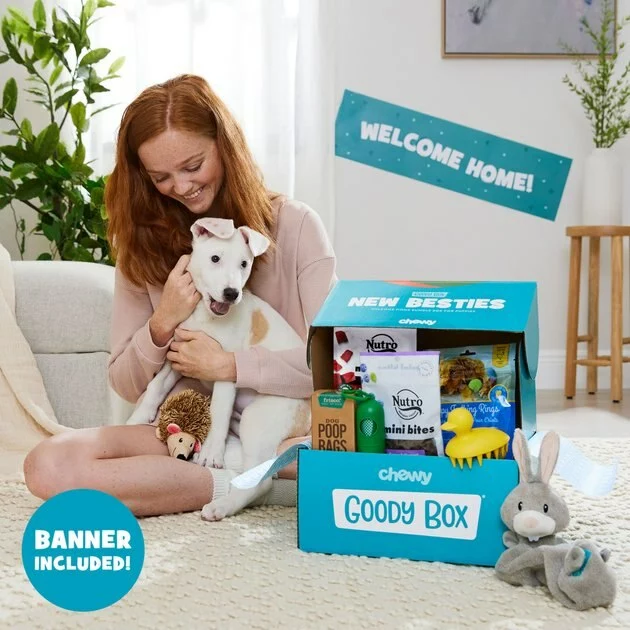 Frisco||Goody Box Frisco Fold & Carry Double Door Collapsible Wire Crate + Goody Box Puppy Toys, Treats & Potty Training 10 Frisco||Goody Box Frisco Fold & Carry Double Door Collapsible Wire Crate + Goody Box Puppy Toys, Treats & Potty Training - Image 8
