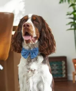 Frisco Plaid Dog & Cat Bow Tie, Orange & Blue + Blue -The Frisco Store 302770 PT6. SY630 V1623067356