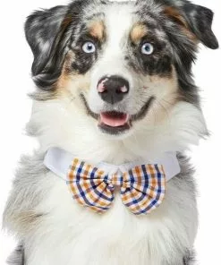 Frisco Plaid Dog & Cat Bow Tie, Orange & Blue + Polka Dot, Navy -The Frisco Store 302784 PT1. SY630 V1623060749