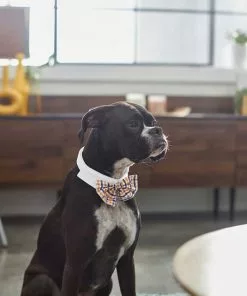 Frisco Plaid Dog & Cat Bow Tie, Orange & Blue + Polka Dot, Navy -The Frisco Store 302784 PT4. SY630 V1623088342