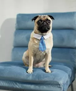 Frisco Plaid Dog & Cat Neck Tie, Blue Plaid + Polka Dot, Teal -The Frisco Store 302794 PT4. SY630 V1623041553