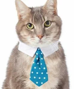 Frisco Plaid Dog & Cat Neck Tie, Blue Plaid + Polka Dot, Teal -The Frisco Store 302794 PT5. SY630 V1623084751