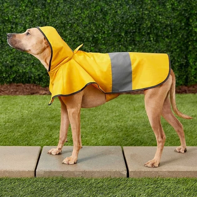 Frisco Rainy Days + Clear Vinyl Dog Raincoat 7 Frisco Rainy Days + Clear Vinyl Dog Raincoat - Image 5