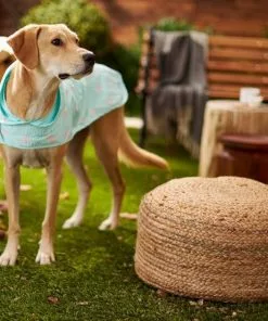 Frisco Rainy Days + Flamingo Dog Raincoat -The Frisco Store 302824 PT7. SY630 V1623040066