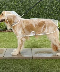 Frisco Rubber Ducky + Clear Vinyl Dog Raincoat -The Frisco Store 302852 PT7. SY630 V1623090455