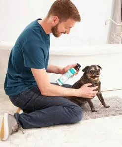 Frisco Aloe Hydrating Spray, 12-oz bottle + Oatmeal Shampoo with Aloe for Dogs & Cats, Almond Scent -The Frisco Store 303372 PT3. SY630 V1623046355