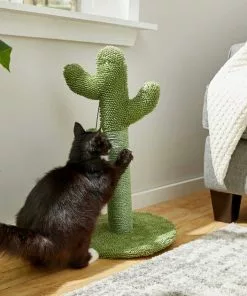 Frisco Cactus Cat Scratching Post, 22-in + Plush Squeaking Burrito Dog Toy -The Frisco Store 303376 PT3. SY630 V1623082061