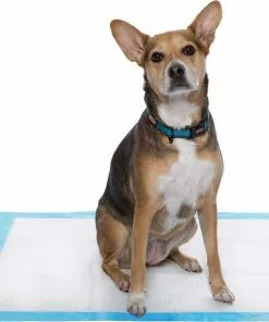 Frisco Heavy Duty Fold & Carry Double Door Collapsible Wire Crate & Mat Kit, + Extra Large Dog Training & Potty Pads, 28 x 34-in, 150 count, Unscented 15 Frisco Heavy Duty Fold & Carry Double Door Collapsible Wire Crate & Mat Kit, + Extra Large Dog Training & Potty Pads, 28 x 34-in, 150 count, Unscented -The Frisco Store 303458 PT5. SY630 V1623166972