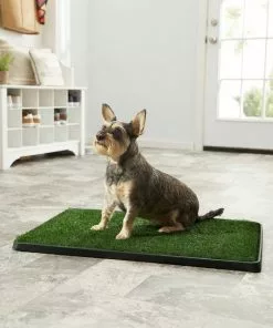 Frisco||PetSafe Frisco Indoor Grass Potty, 30 x 20 in + PetSafe Pet Loo Wee Care Enzyme Cleaner -The Frisco Store 303462 PT3. SY630 V1623049351