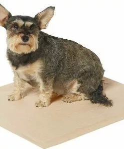 Frisco Refill Poop Bags, Scented, 120 count + Eco-Conscious Dog Training & Potty Pads, 22 x 23-in, 50 count, Unscented -The Frisco Store 303542 PT5. SY630 V1623042158