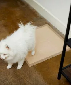 Frisco Refill Poop Bags, Scented, 120 count + Eco-Conscious Dog Training & Potty Pads, 22 x 23-in, 50 count, Unscented -The Frisco Store 303542 PT8. SY630 V1623080862