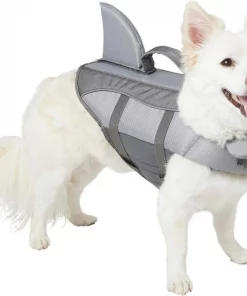 Frisco||KONG Frisco Shark Life Jacket + KONG Aqua Dog Toy, Medium -The Frisco Store 303588 PT1. SY630 V1623059854