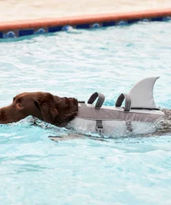 Frisco||KONG Frisco Shark Life Jacket + KONG Aqua Dog Toy, Medium -The Frisco Store 303588 PT4. SY630 V1623060745