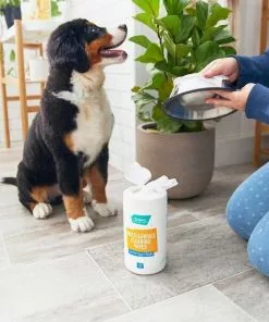 Frisco Stainless Steel Bowl, 4.75-cup, 2 count + Pet Toy & Bowl Cleaning Wipes 15 Frisco Stainless Steel Bowl, 4.75-cup, 2 count + Pet Toy & Bowl Cleaning Wipes -The Frisco Store 303622 PT6. SY630 V1623041554