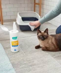 Litter-Robot||Frisco Litter-Robot WiFi Enabled Automatic Self-Cleaning Cat Litter Box, Grey + Frisco Litter Box Cleaning Wipes -The Frisco Store 303694 PT7. SY630 V1623068853