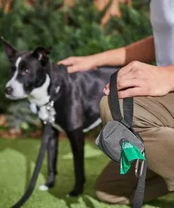 Ubbi||Frisco Ubbi On-The-Go Wipes Dispenser + Frisco Dog Poop Bags with Fabric Dispenser, 30 count, Gray 19 Ubbi||Frisco Ubbi On-The-Go Wipes Dispenser + Frisco Dog Poop Bags with Fabric Dispenser, 30 count, Gray -The Frisco Store 303764 PT8. SY630 V1623057451