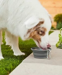 Ubbi||Frisco Ubbi On-The-Go Wipes Dispenser + Frisco Silicone Collapsible Travel Bowl with Carabiner, Gray, 1.5 Cups -The Frisco Store 303766 PT8. SY630 V1623049341