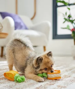 Frisco Easter Carrot Plush Squeaky Dog Toy, 2 pack 7 Frisco Easter Carrot Plush Squeaky Dog Toy, 2 pack -The Frisco Store 306954 PT3. SY630 V1642441051