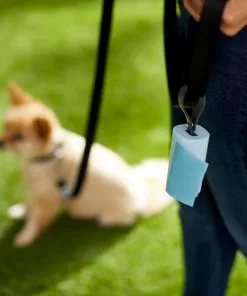 Frisco Poop Bag Square Design Dispenser -The Frisco Store 309816 PT3. SY630 V1637079810