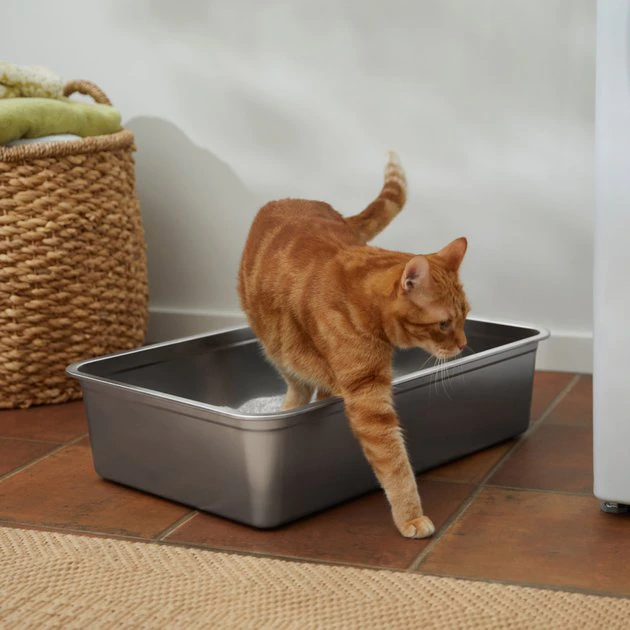 Frisco Stainless Steel Cat Litter Box 3 Frisco Stainless Steel Cat Litter Box