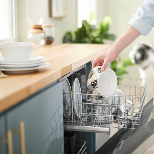 Frisco Animal Design Stainless Steel Dog & Cat Bowl 10 Frisco Animal Design Stainless Steel Dog & Cat Bowl - Image 8