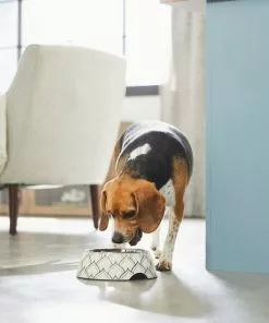 Frisco Moroccan Design Stainless Steel Dog & Cat Bowl -The Frisco Store 311963 PT2. SY630 V1642542922